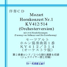 mozart_hornkonzert_1_orchester260.jpg